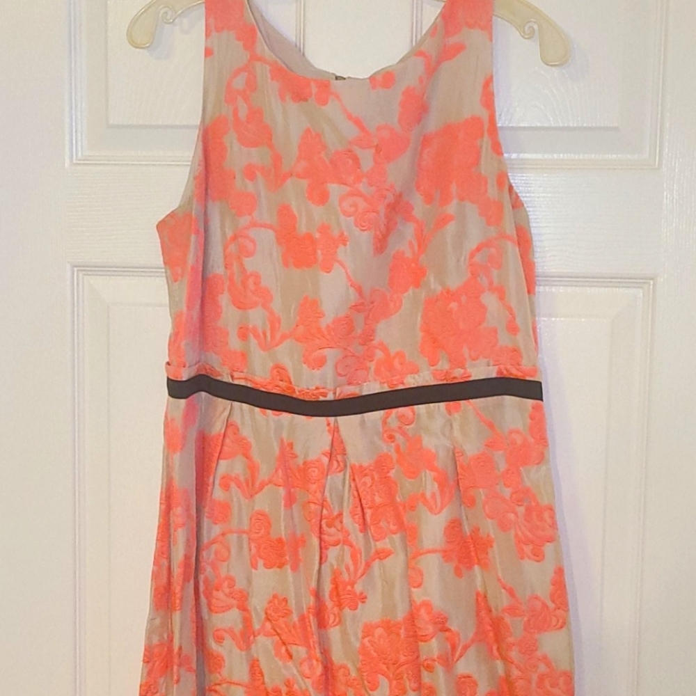 Loft Knee Length Light Cream and Pink Dress
